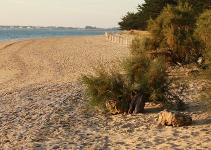 Préparer vos séjours en Vendée, tout ce qu’il y a à savoir avant le voyage