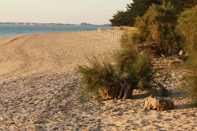 Préparer vos séjours en Vendée, tout ce qu’il y a à savoir avant le voyage